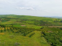 terrain-agricole-vente-ain-defla-djendel-algerie