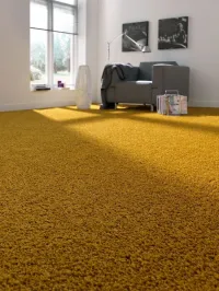 Moquette 