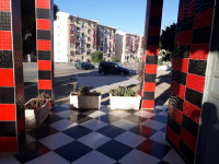 appartement-vente-ain-temouchent-algerie