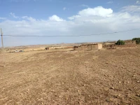 Vente Terrain Agricole Oran Ain el bia
