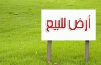 أرض-بيع-ميلة-الجزائر