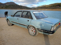 berline-peugeot-505-1982-arris-batna-algerie