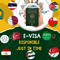 VISA ELECTRONIQUE ET TRAITELMENT DOSSIER  