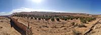 terrain-agricole-vente-relizane-zemmoura-algerie