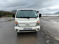 camion-hendaye-h-100-doubl-cabine-2010-setif-algerie