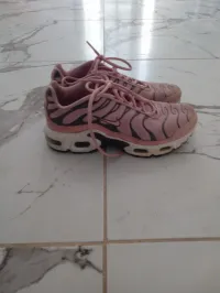 Tn requin rose