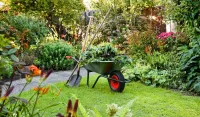 nettoyage et jardinage