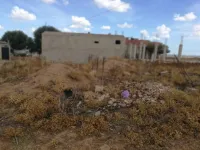 Vente Terrain Boumerdès Larbatache