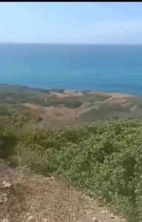 Vente Terrain Aïn Témouchent Ain temouchent