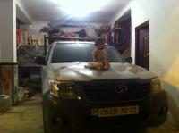 pickup-toyota-hilux-2012-chlef-algerie