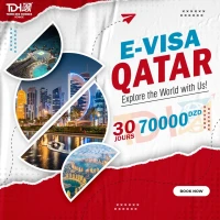 Promotion E-VISA