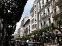 Location Local Alger Alger centre