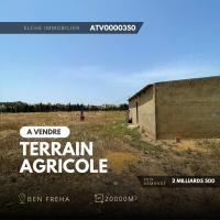 terrain-agricole-vente-oran-ben-freha-algerie