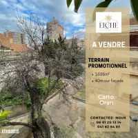 Vente Terrain Oran Oran