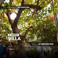villa-vente-oran-algerie