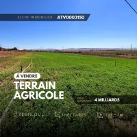 Vente Terrain Oran Oran