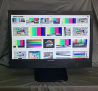 Sony Moniteur LMD2110W