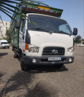 camion-hyundai-hd65-douera-alger-algerie