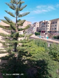 apartment-rent-f2-chlef-algeria