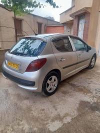 cars-peugeot-207-2007-premium-taougrite-chlef-algeria