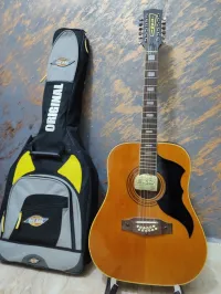 5 guitare 12 cordes 
