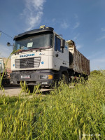 camion-f2000-shacman-2010-bouandas-setif-algerie