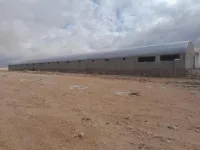 بيع وتركيب بيوت تربية الدواجن وجميع مستلزماتها 
