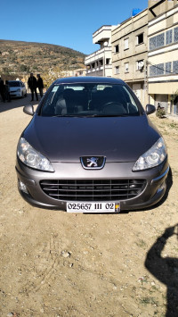 voitures-peugeot-407-coupe-2011-chlef-algerie