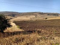 terrain-agricole-vente-constantine-el-haria-algerie