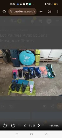 Lot palmes, masques et tentes 
