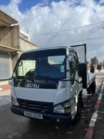 camion-isuzu-2013-ouled-el-alleug-blida-algerie