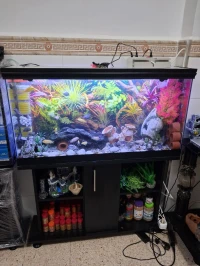 Aquarium avec meuble noir 80cm et 1m