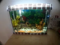 Aquarium plasma 45cm vide
