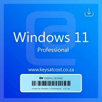 Windows 10 pro / 11 pro