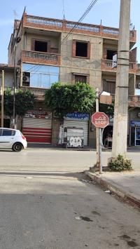 villa-sell-blida-bouinan-algeria