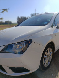 voitures-seat-ibiza-2014-crono-rouina-ain-defla-algerie