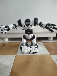 Robot