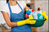 cleaning-hygiene-عاملة-نظافة-dar-el-beida-algiers-algeria