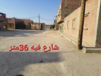 عمارة-بيع-بسكرة-شتمة-الجزائر