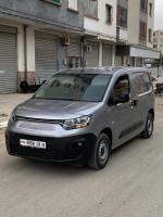 automobiles-fiat-brifisyonal-2024-doblo-bordj-bou-arreridj-algerie