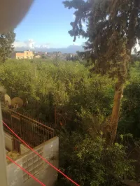 Location Appartement F3 Alger Staoueli