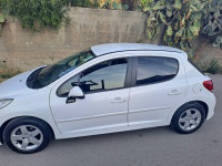 voitures-peugeot-207-2010-bejaia-algerie