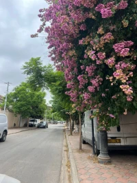 Vente Appartement F4 Alger Oued smar