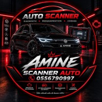scanner auto (déplacement dispo)