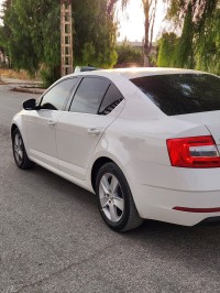 سيارات-skoda-octavia-2018-ambition-عين-البيضاء-أم-البواقي-الجزائر