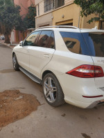 voitures-mercedes-ml-2013-250-cdi-pack-amg-mostaganem-algerie