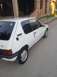 voitures-peugeot-205-1994-souidania-alger-algerie