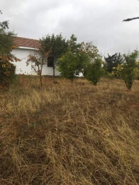 Vente Terrain Medea Medea