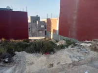 Vente Terrain Tlemcen Marsa ben mhidi