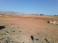 terrain-vente-ain-defla-el-attaf-algerie